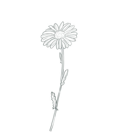 Bloem Bloei Gent