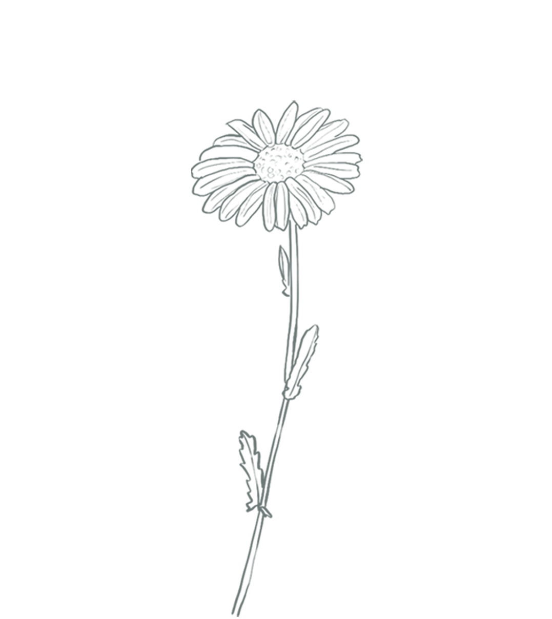 Bloem Bloei Gent
